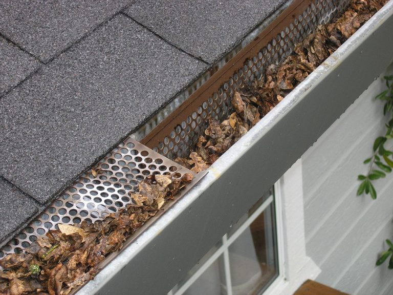 gutter guard with an accumulation of dried, brown leaves
