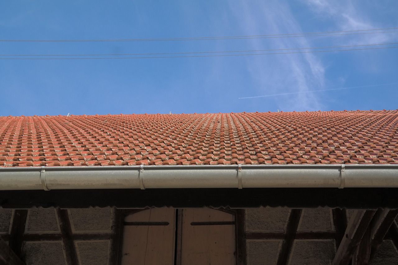 roof panels and gutter